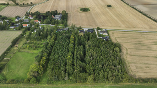 Ringsbjergvej 11, 4682 Tureby